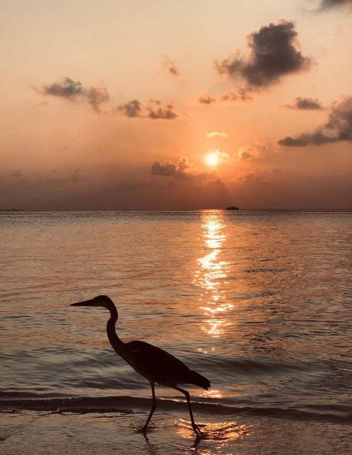 Aqua Sunset Hotel Gulhi Bagian luar foto